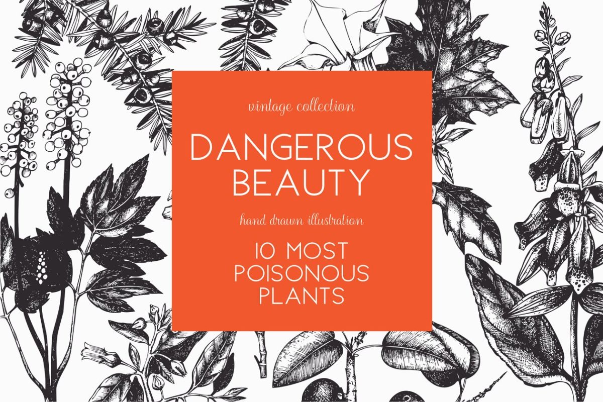 石龙芮花卉植物素材套装 Poisonous Plants & Flowers Set