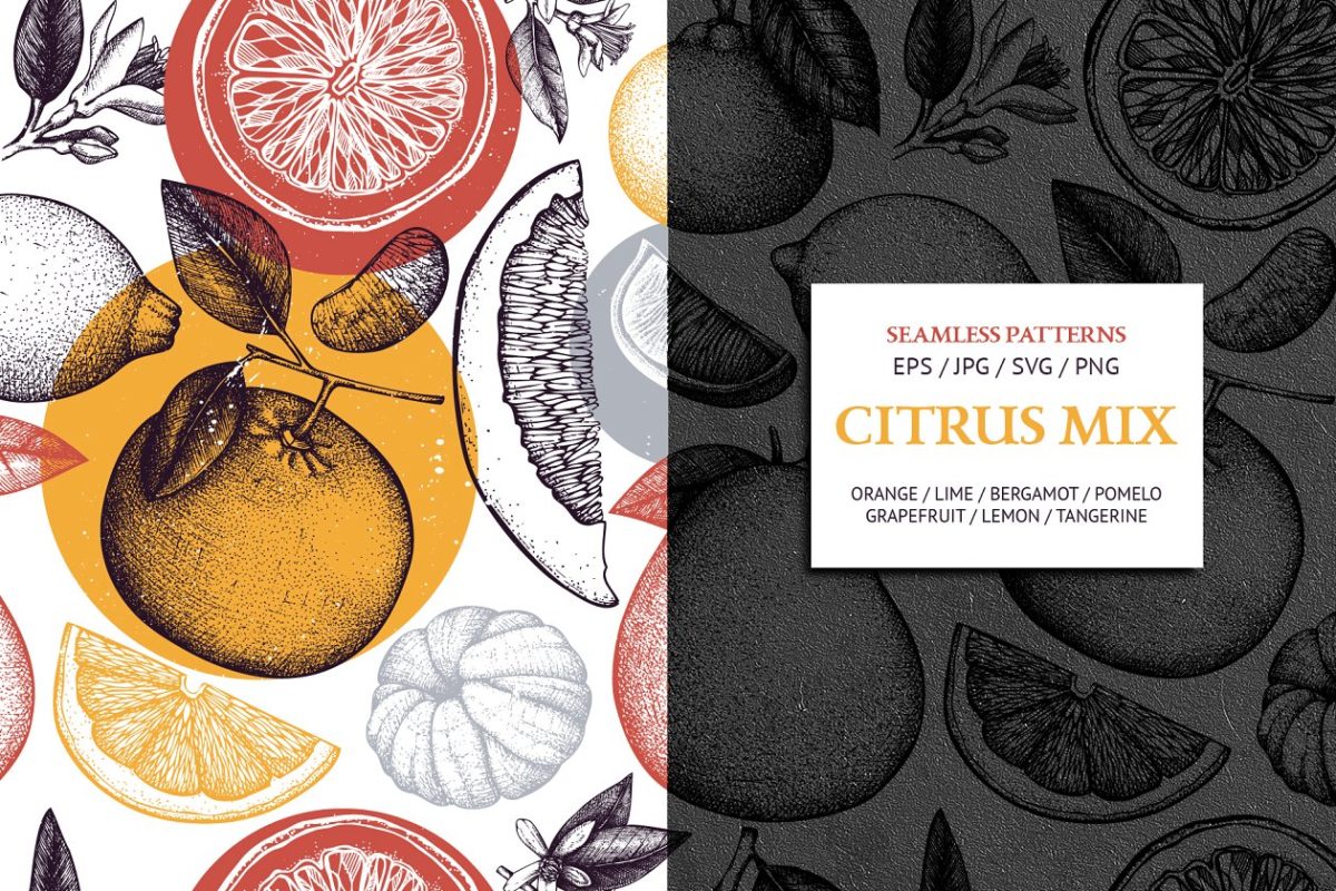 柑橘类水果图案集合 Citrus Fruits Patterns Collection