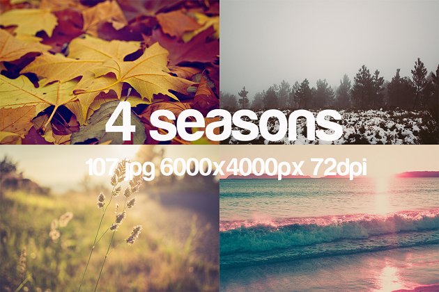 四季特写风景照片 4 seasons photo pack