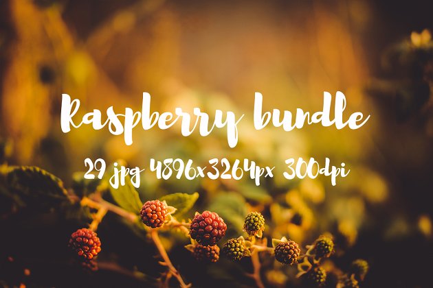 覆盆子花卉照片包 Raspberry photo pack