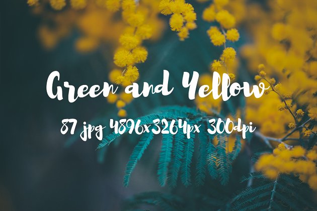 黄和绿主题的时尚植物图片素材包 Green and yellow photo pack