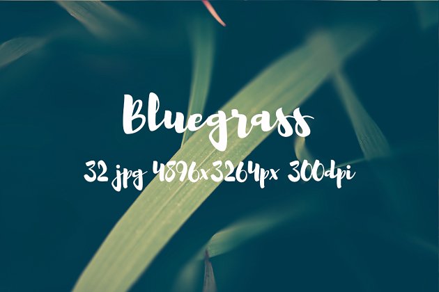 植物图片包 Bluegrass photo pack