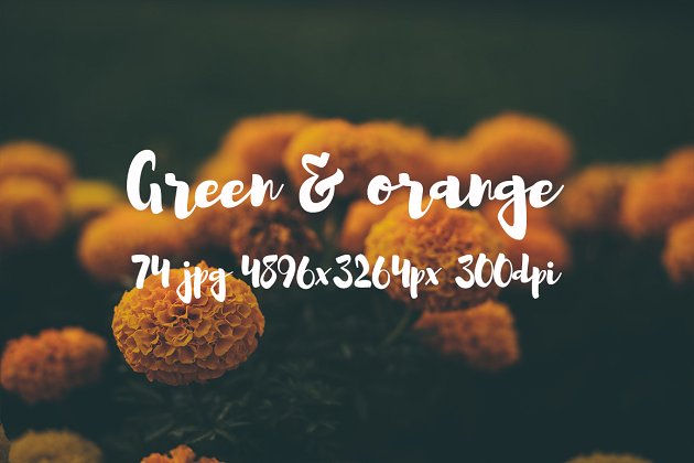 网页图片元素 Green and orange photo bundle