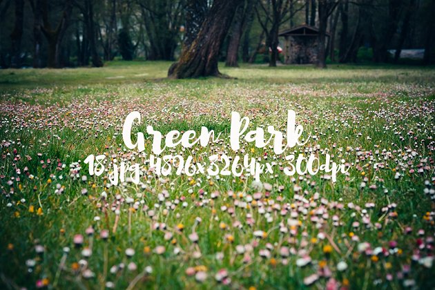 绿色草坪素材包 Green Park bundle