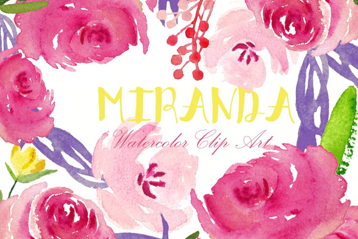 水彩玫瑰花素材 Miranda roses. Watercolor Clipart.