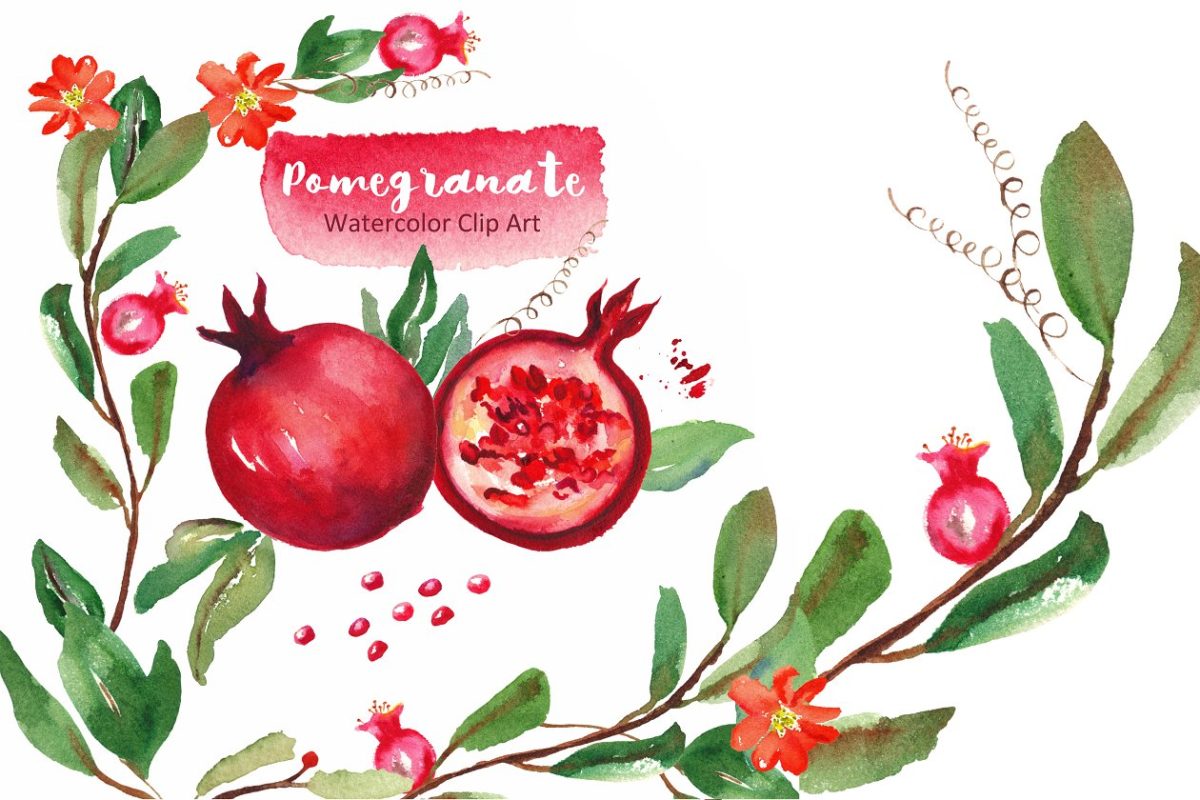 水彩石榴花卉插画 Pomegranate. Watercolor Clipart