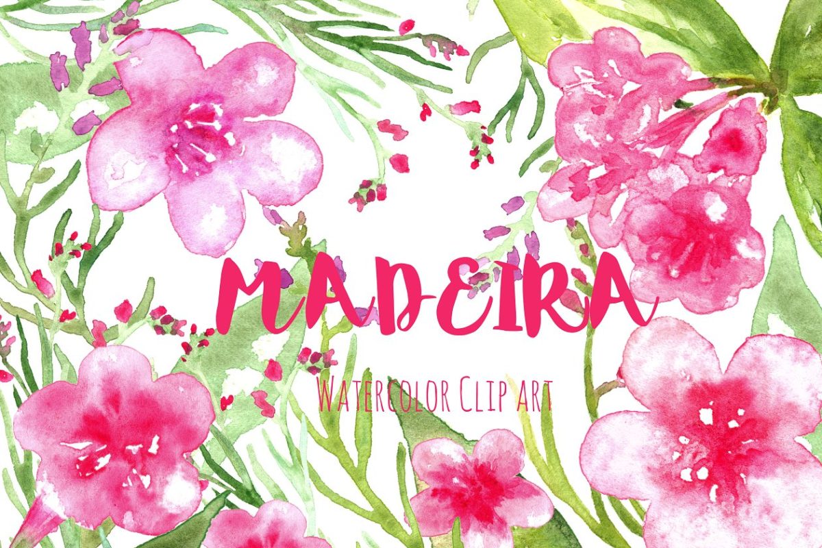 水彩花卉绘画素材 Madeira. Watercolor clipart.