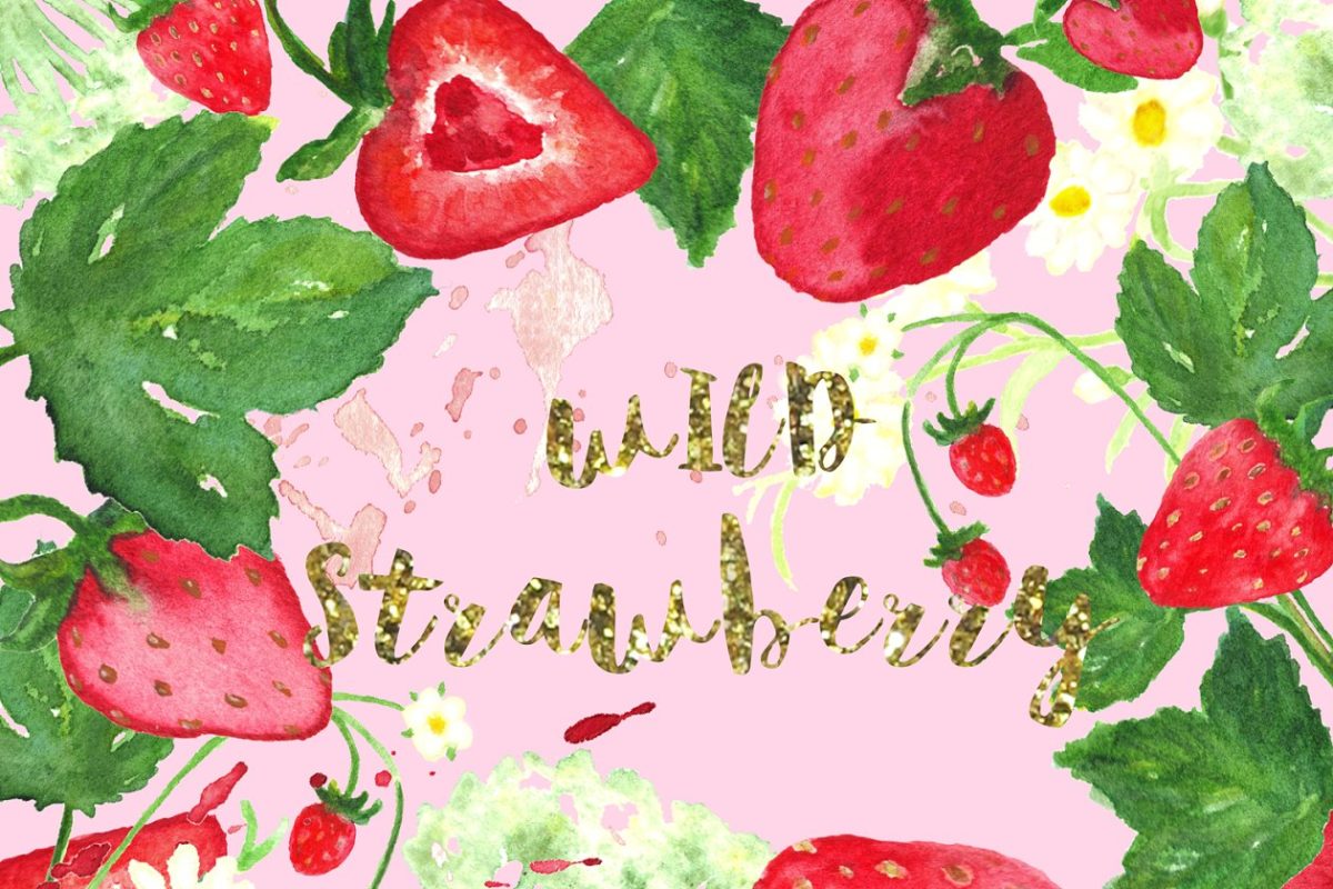 野草莓水彩花卉剪贴画 Wild strawberry watercolor clipart