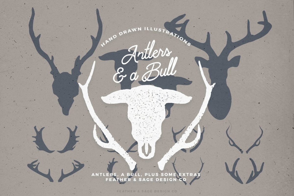 公牛矢量logo设计 Antlers & a Bull Vector Graphics