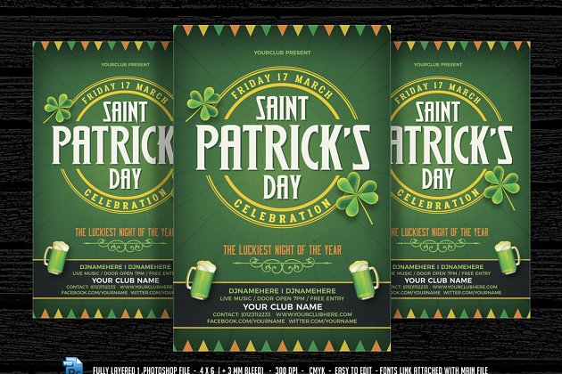 圣帕特里克节庆祝活动海报制作模板 Saint Patrick’s Day Celebration