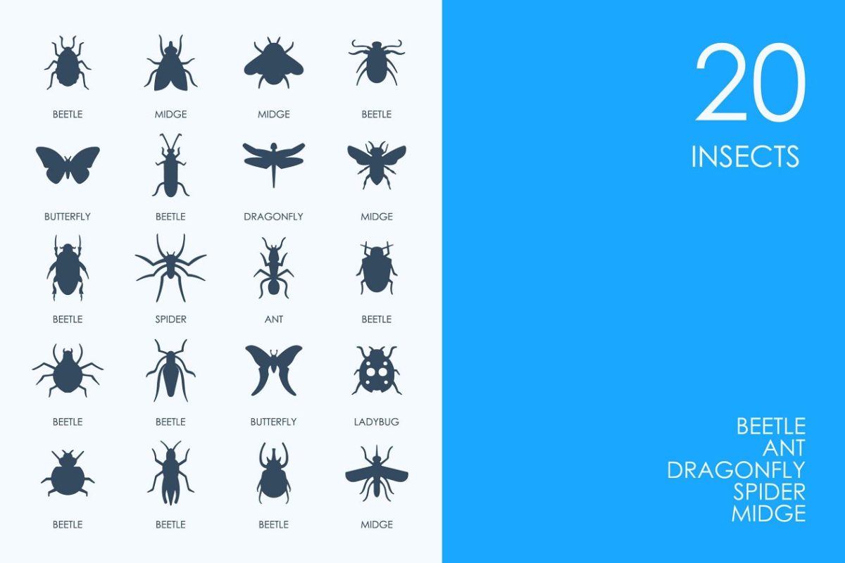 昆虫图标 Insects icons