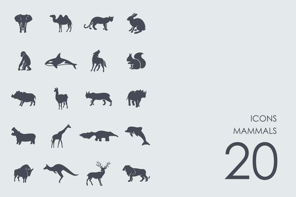 哺乳动物图标 Mammals icons