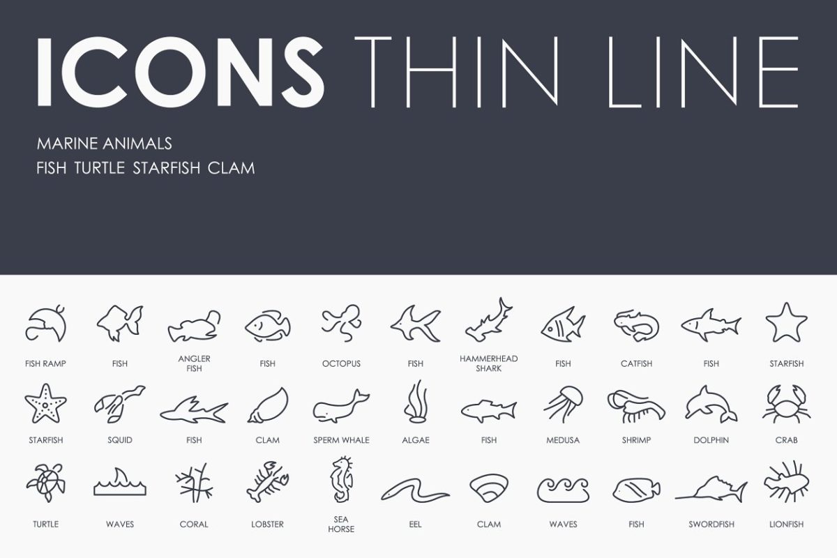 海洋动物图标下载 Marine animals thinline icons