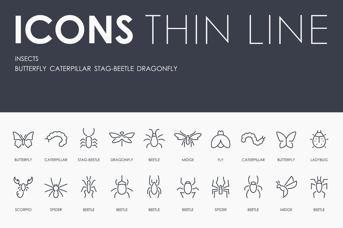 昆虫矢量图标大全 Insects thinline icons