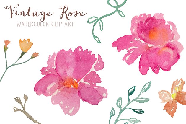 经典的玫瑰水彩素材 Vintage Rose Watercolor Clip Art
