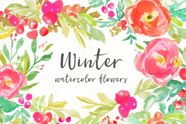 冬季水彩花卉素材 Winter Watercolor Flowers Clip Art