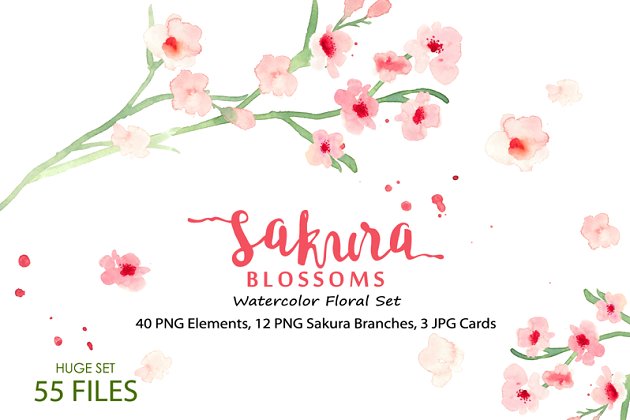 樱花水彩剪贴画 Sakura Blossoms – Watercolor Clipart