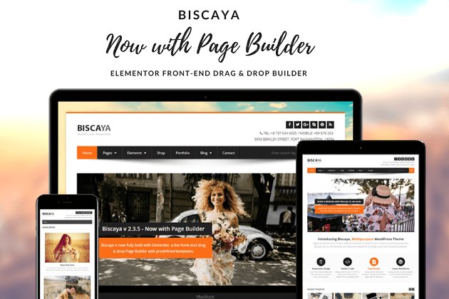 新闻主题WordPress模板 Biscaya for WordPress