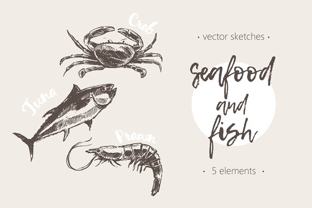 海鲜素描素材插画 Set of hand drawn seafood and fish