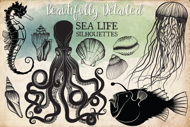 写实的手绘海洋生活剪切画素材 Hand Drawn Ocean Life Clipart