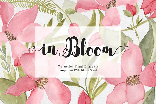 水彩花卉手绘素材 Watercolor Flowers Clipart Set