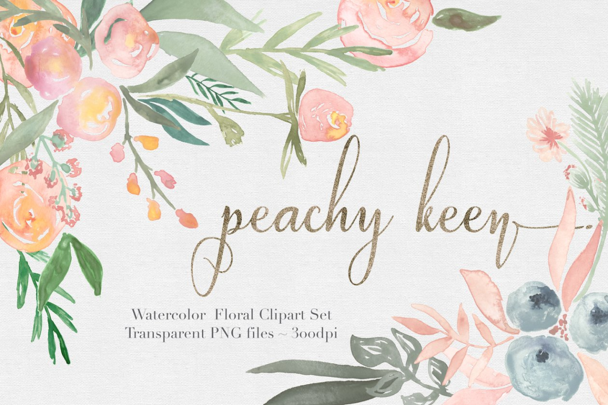 水彩剪贴画集 Peachy Keen Watercolor clipart Set