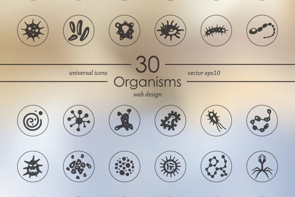 一组细菌图标素材 Set of organisms icons