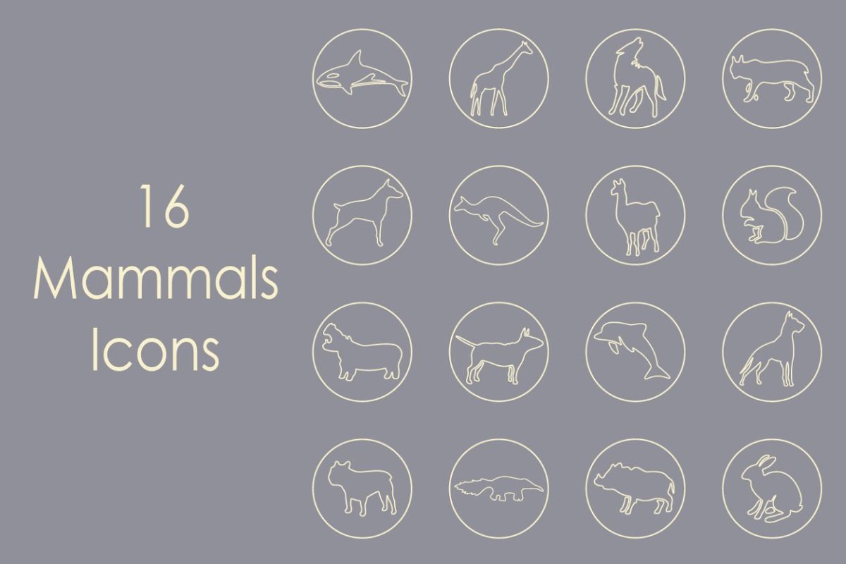 哺乳动物图标素材 16 MAMMALS simple icons