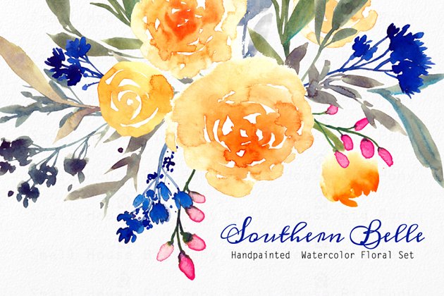 南方水彩花卉插画 Southern Belle – Watercolor Floral S