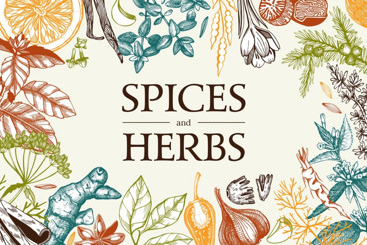 厨房材料相关的图形素材 Vector Kitchen Spice & Herbs Set