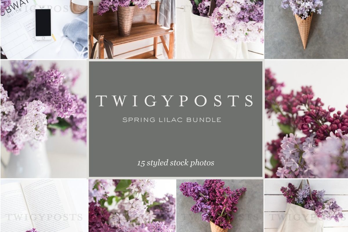 春天丁香画图片素材 Spring Lilac Stock Photos