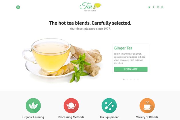 茶主题设计网站模板 Hot Tea