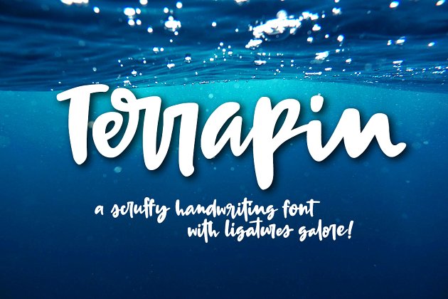 粗狂字体下载 Terrapin: a bold handwriting script