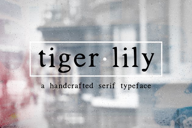 时尚品牌字体 Tigerlily
