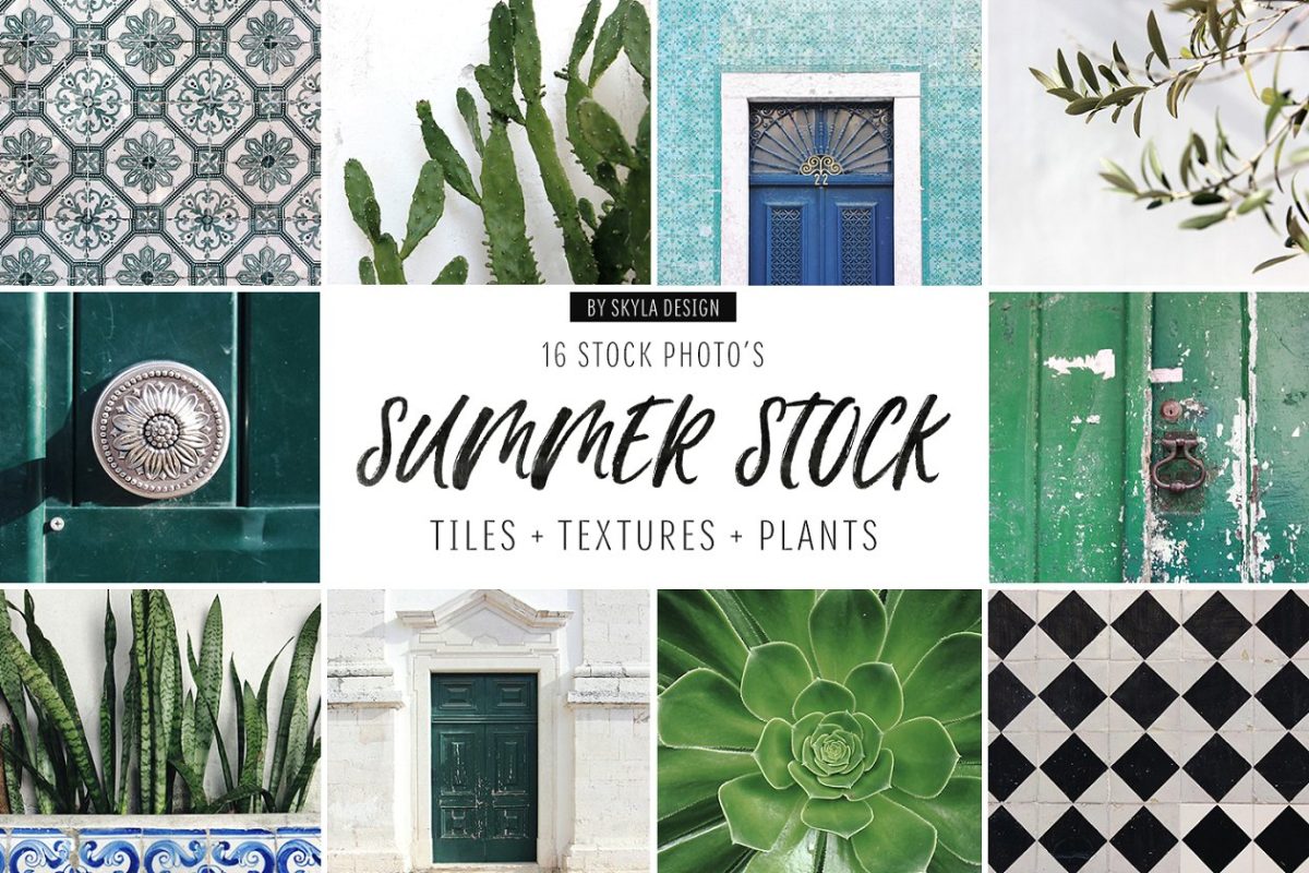 绿植相框样机素材合集 Summer stock, texture, tiles, plants