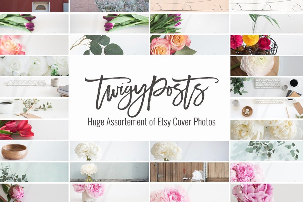 漂亮的花卉照片 Cover Photos for Etsy | OVER 40 pics