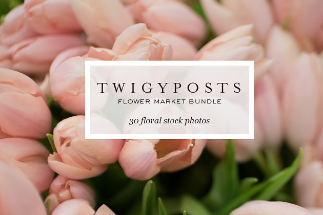 终极鲜花装饰图案素材包 Ultimate Floral Stock Photo Bundle