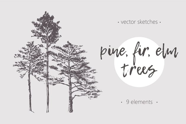手绘树插图 Set of trees illustrations