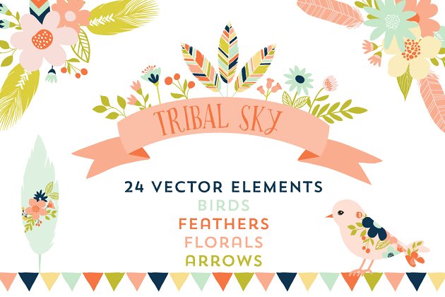 羽毛部落插画 Tribal Sky Feather & Floral Graphics