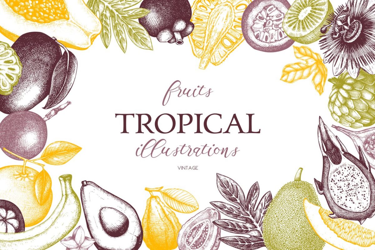 亚热带水果植物图形素材 Vector Exotic Fruits & Plans Set