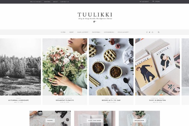 优雅的设计网站模板 TUULIKKI Nordic Blog & Shop Theme