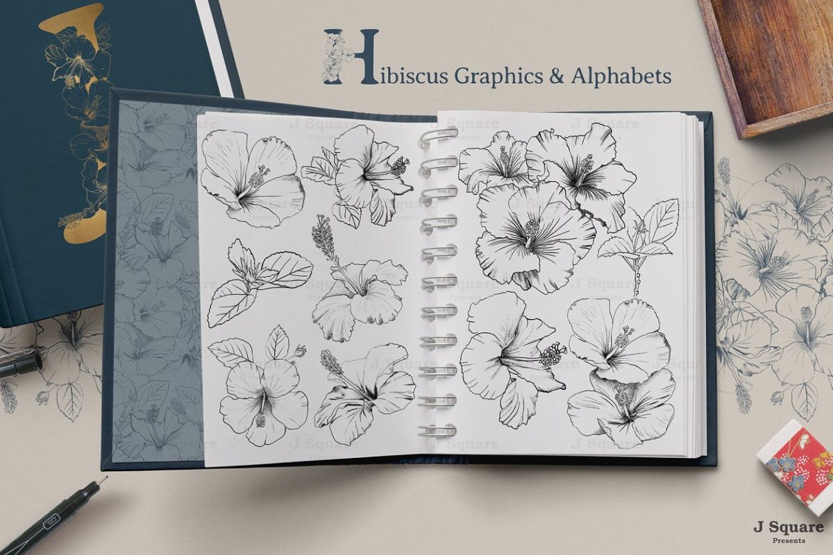 木槿字母图形 Hibiscus Graphics & Alphabets