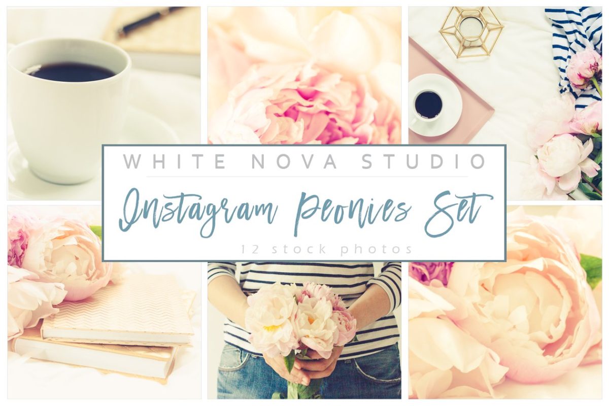 牡丹花卉集 Instagram Peonies Set