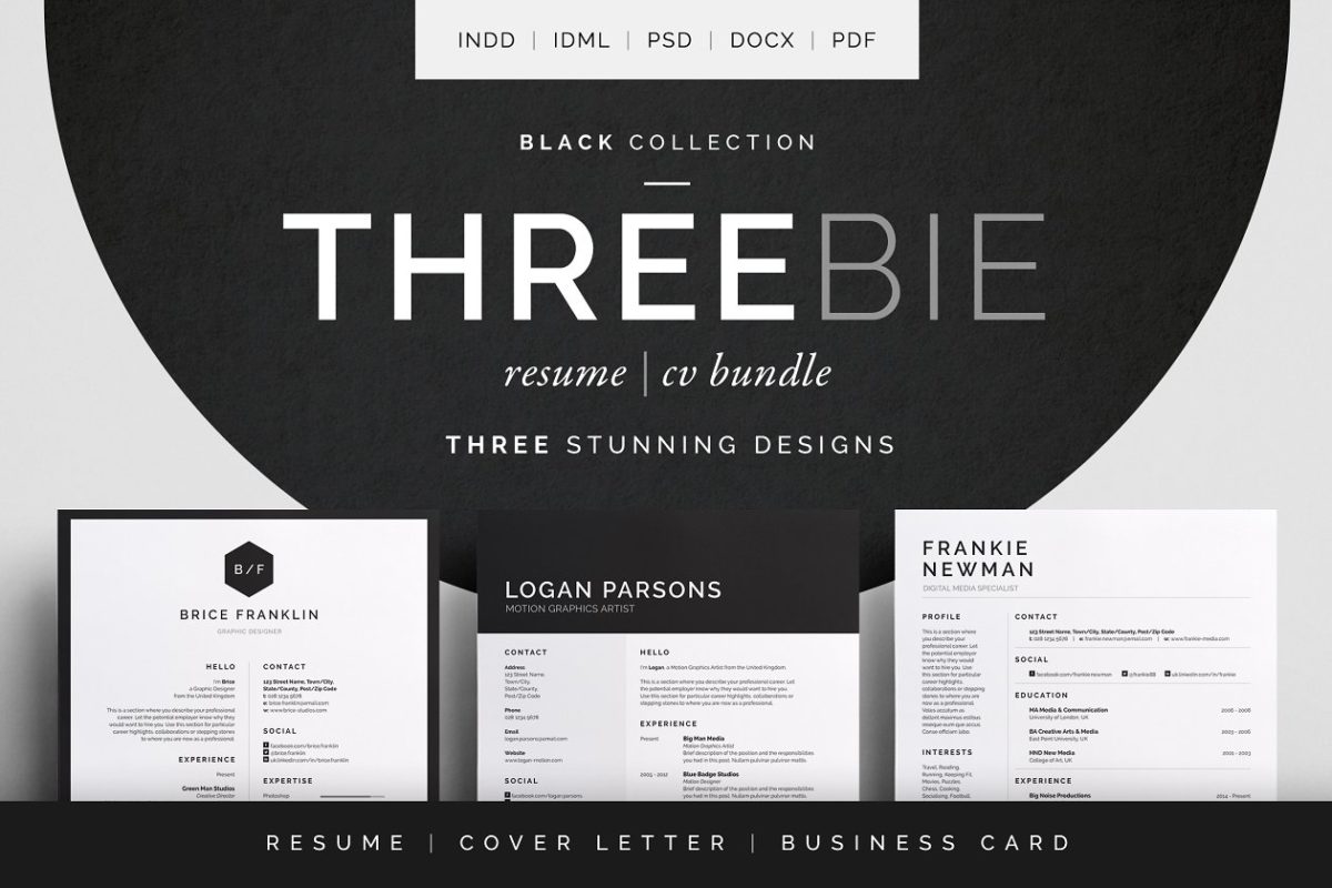 经典实用黑白简历模板 Threebie Resume/CV Bundle 3