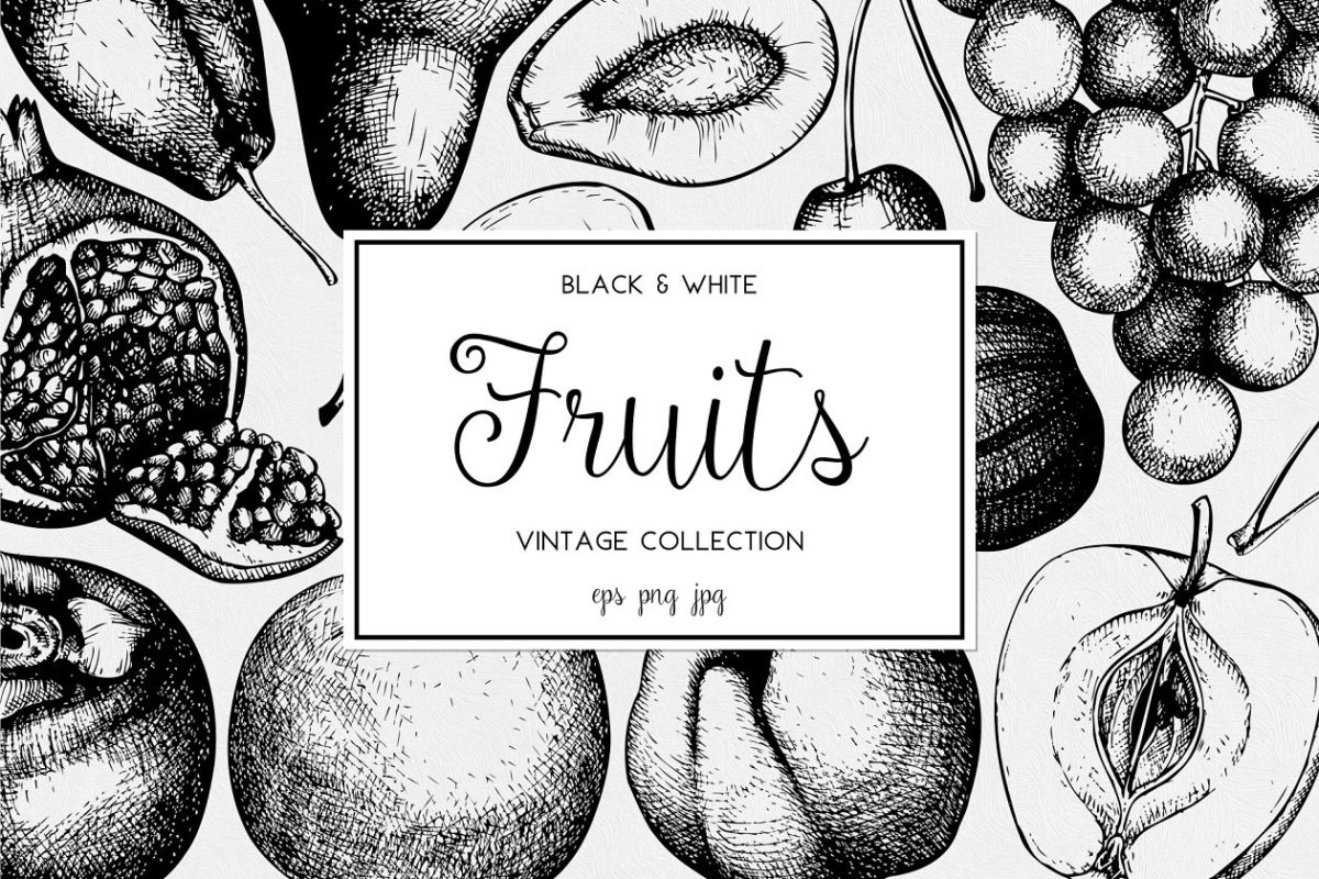 墨水手绘水果素材合集 Ink hand drawn fruit collection