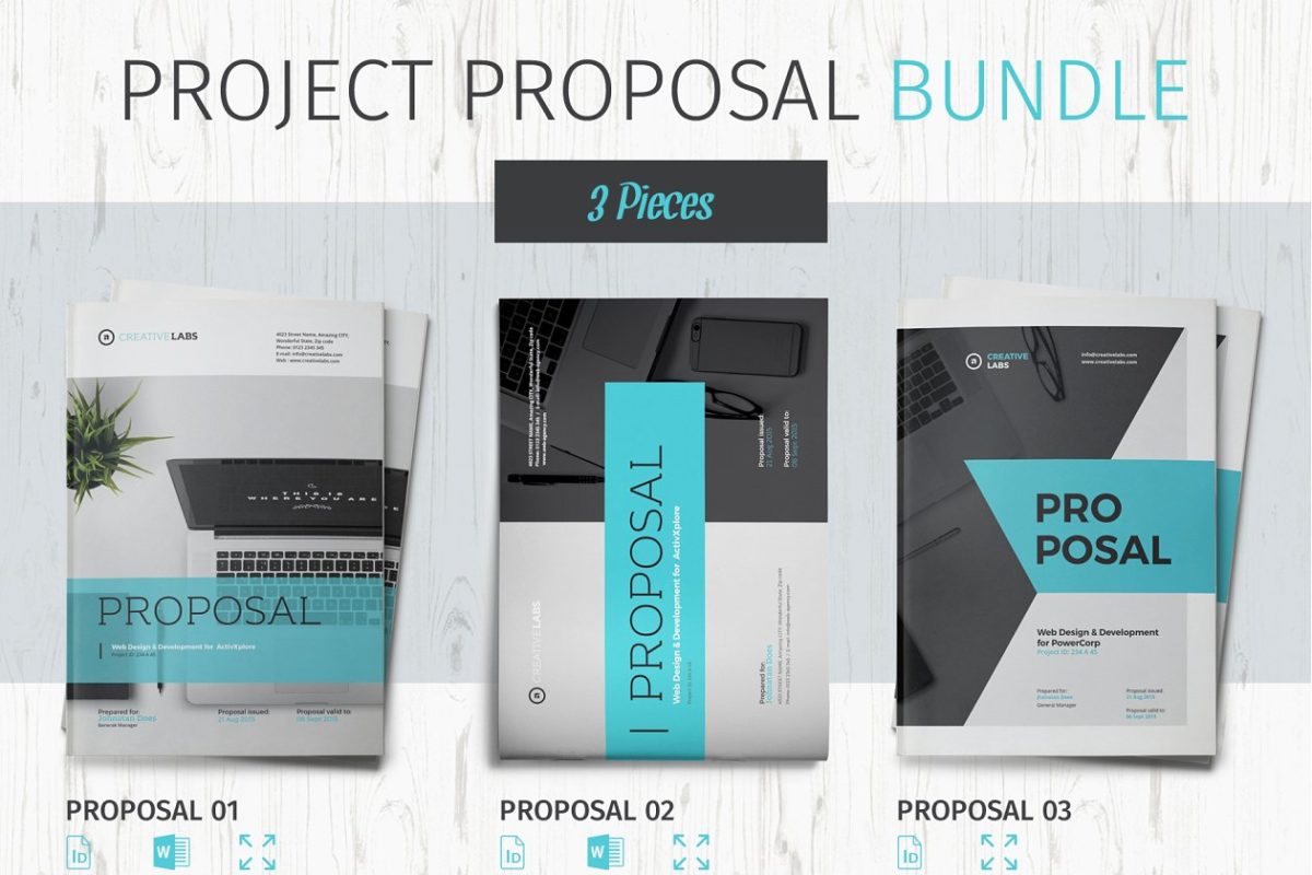 项目介绍画册模版 Proposal Bundle
