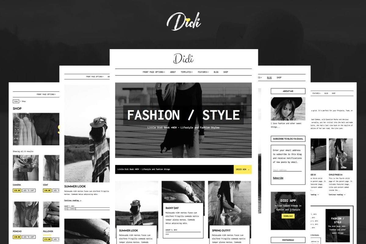 时尚的WordPress主题模板 Fashion WordPress Theme – Didi