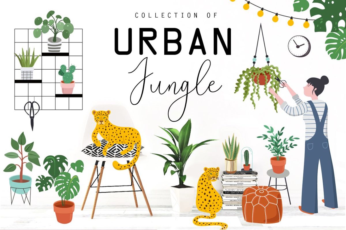 绿植矢量插画 Urban Jungle collection
