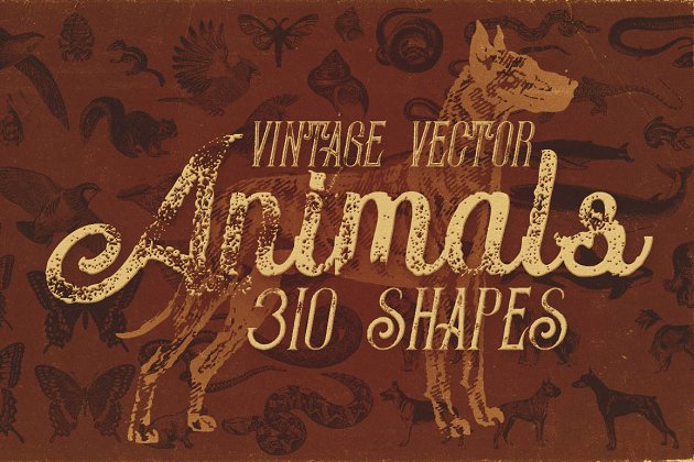 310经典的动物矢量图形 310 Vintage Animals Vectors