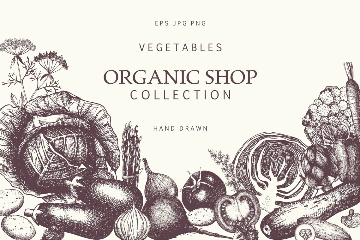 手绘蔬菜素描图形合集 Hand Drawn Vegetables Collection
